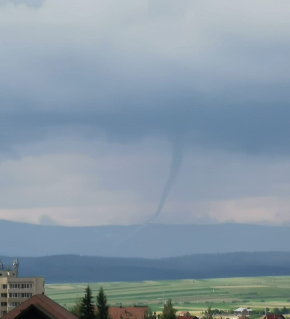 WhatsApp Image 2019-07-16 at 09.09.02 (1)