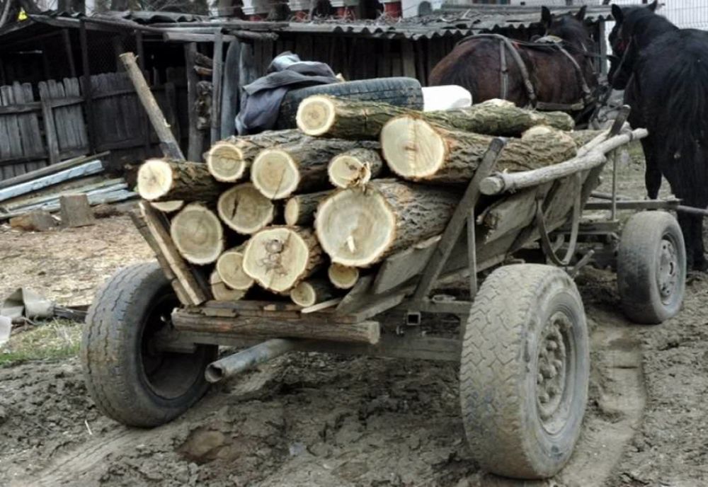 Un bărbat a murit după ce a fost strivit de căruţa cu lemne pe care o conducea, la Mărtiniş