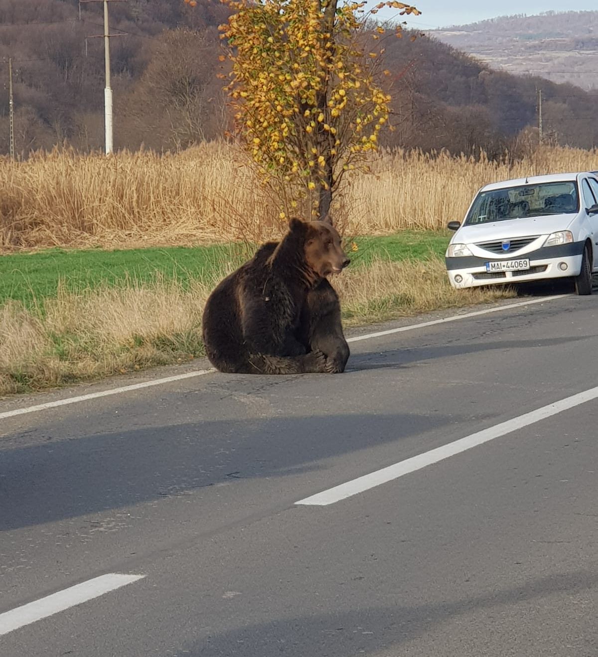 WhatsApp Image 2019-11-17 at 10.29.39