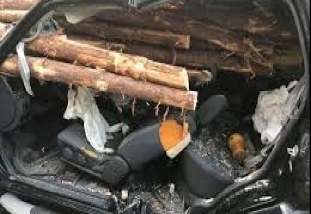 Femeie strivită de bușteni la Lunca de Sus