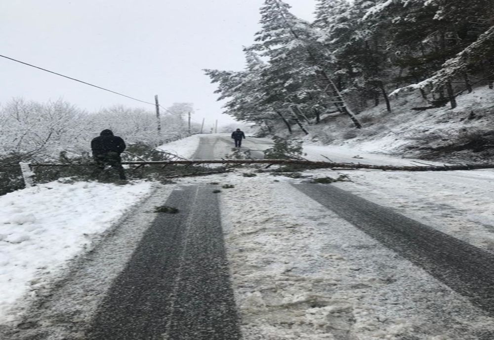 Patru localităţi harghitene, fără curent din cauza vremii nefavorabile