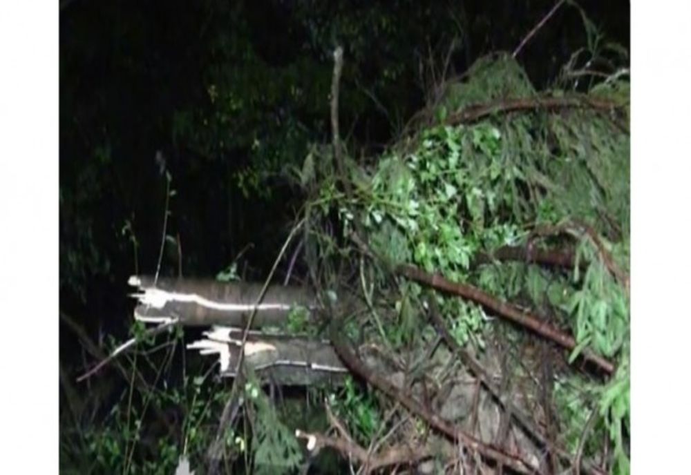 Drum național din Harghita, blocat de copaci căzuți