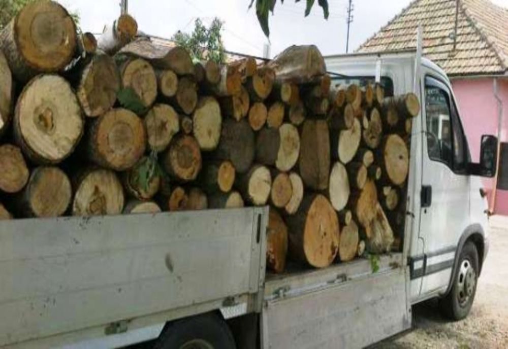 Transport ilegal de lemne, depistat de poliţiştii harghiteni, la Ditrău