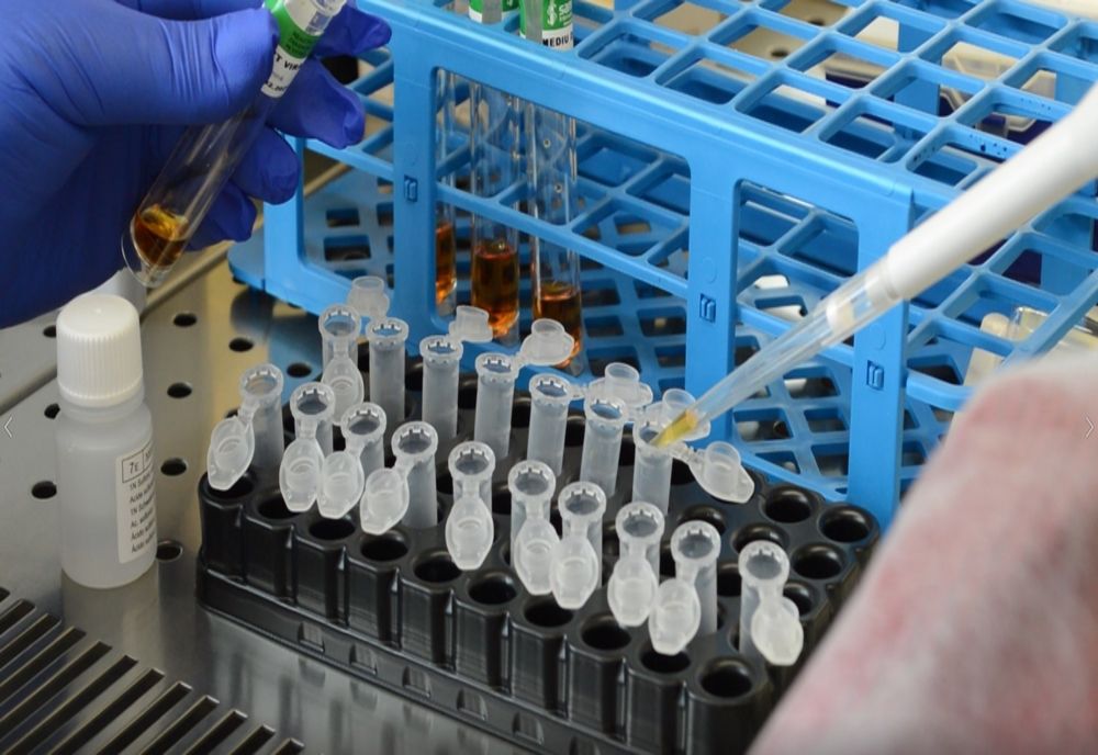 Harghitean care trebuia să plece la muncă în străinătate, testat pozitiv pentru Covid-19