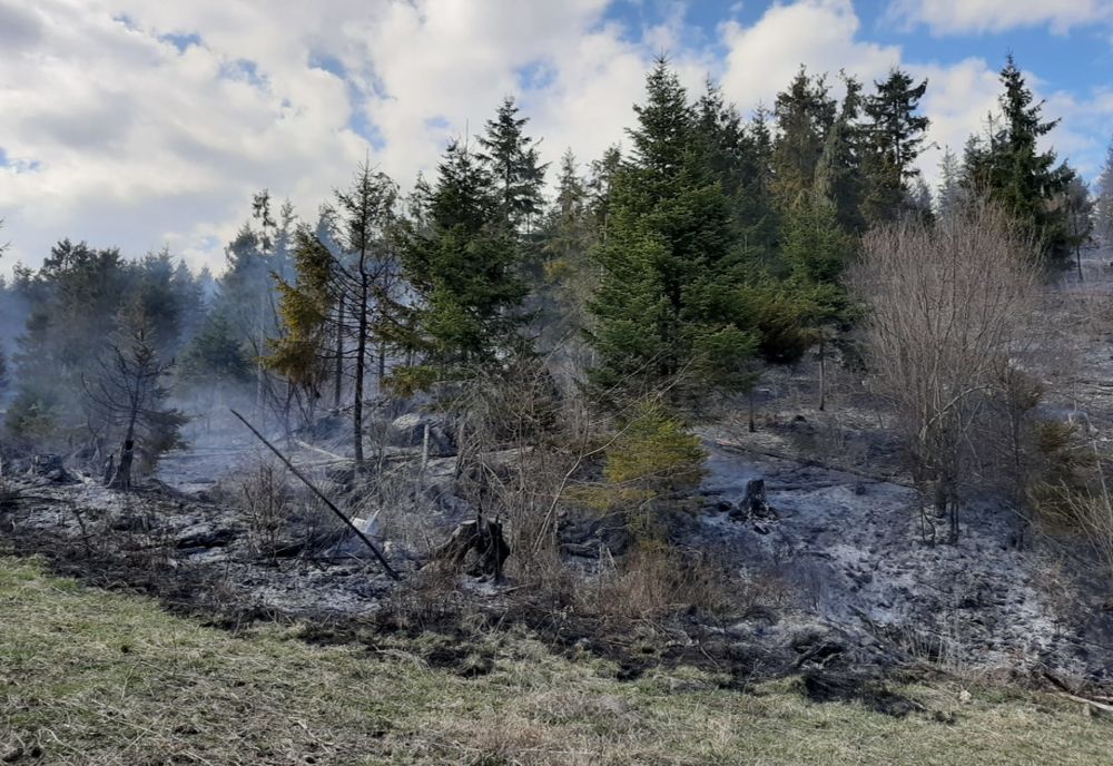 Incendiile de vegetaţie uscată, un pericol