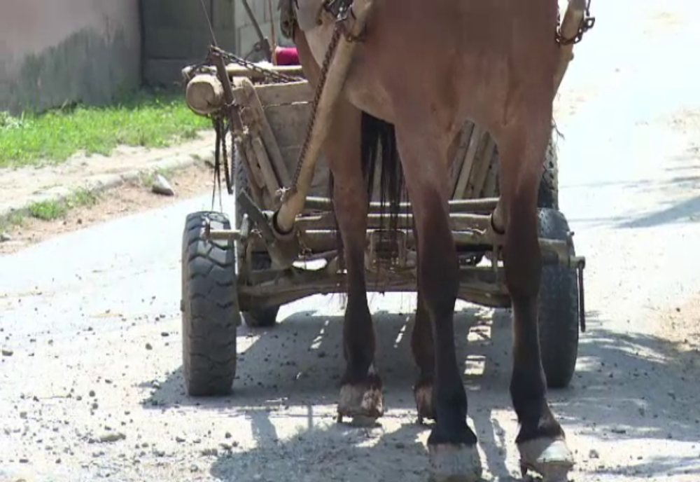 Un harghitean a ajuns la spital după ce a căzut dintr-o căruţă