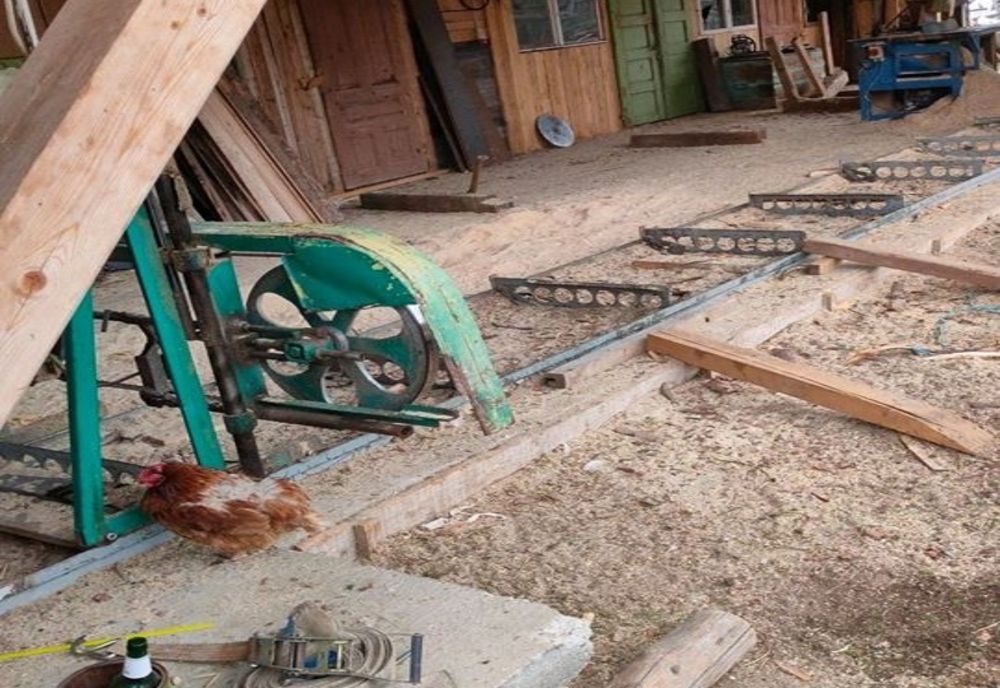 Harghitean amendat de Garda de Mediu pentru tăiere și prelucrare ilegală a lemnului. Comisarii i-au suspendat activitatea 