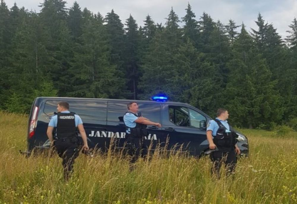 VIDEO 4 apeluri în 24 de ore, pentru îndepărtarea urșilor, în județul Harghita