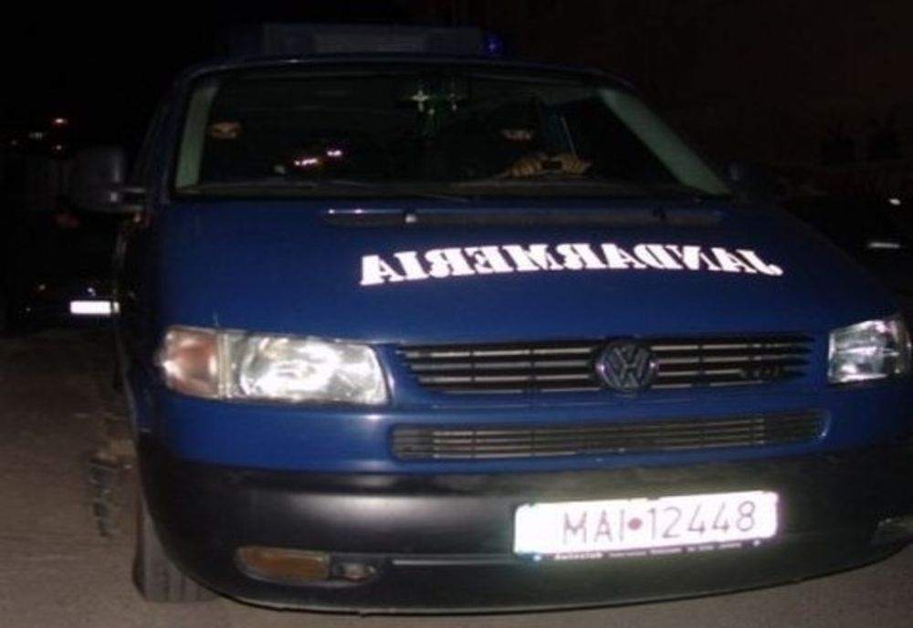 Apel 112: urs în județul Harghita!