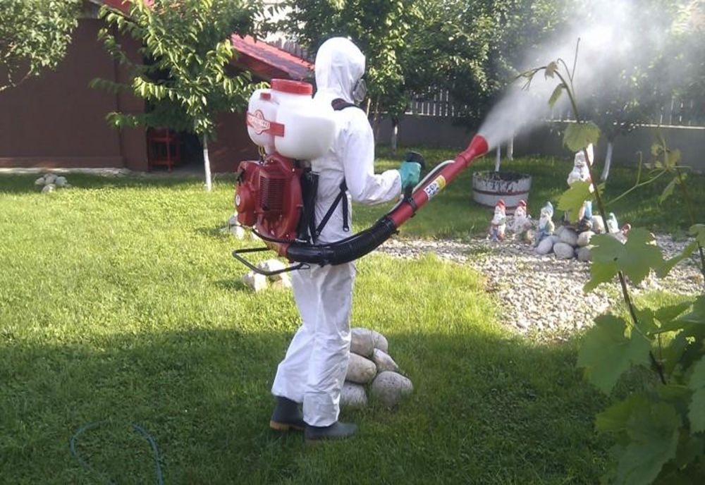 Dezinsecție, la Miercurea Ciuc