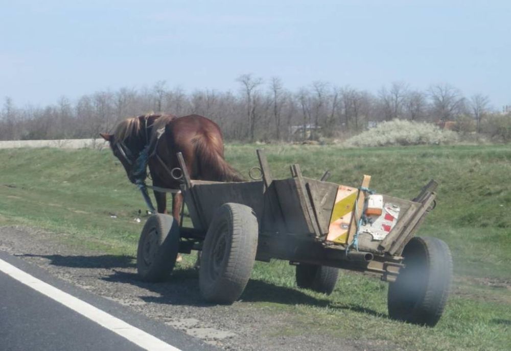 Căruţă implicată într-un accident rutier