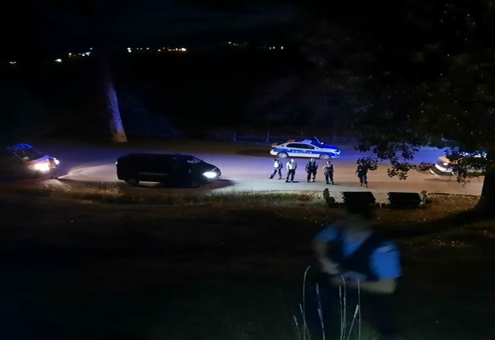 Două apeluri la 112, tot atâtea intervenții la urs