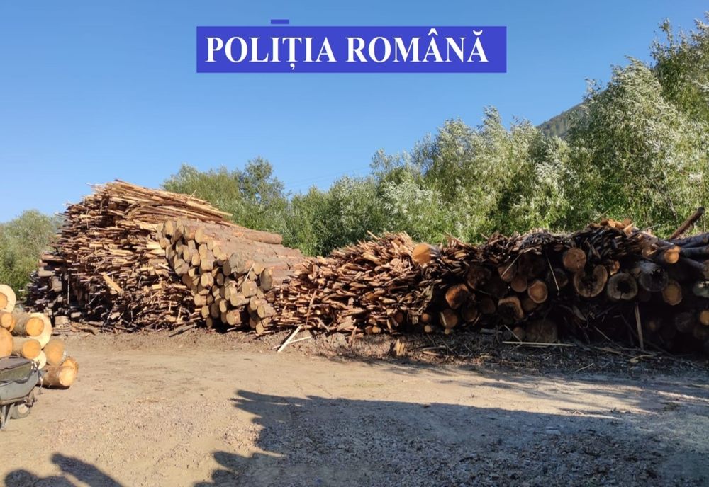 Sancţiuni de 4.000 de lei şi peste 10 metri cubi de lemne confiscate de poliţiştii harghiteni