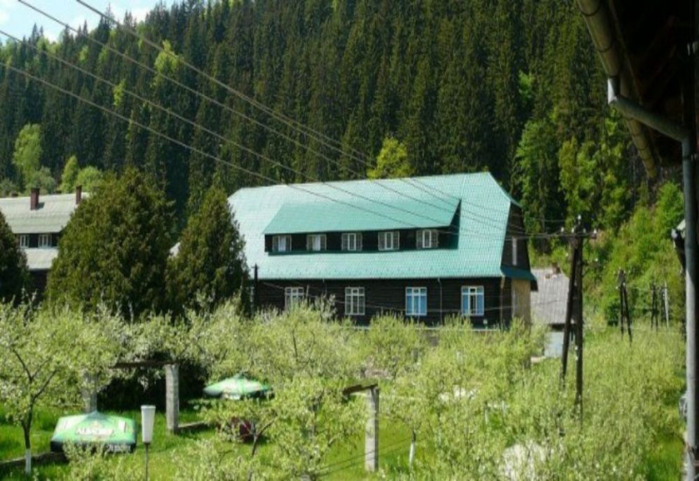 25 de beneficiari infectați cu SARS-CoV-2, la Centrul de Recuperare și Reabilitare Neuropsihiatrică Tulgheş