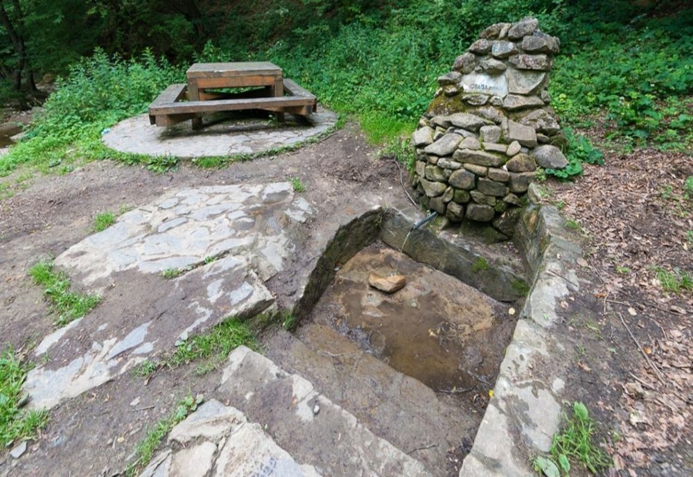 Niciun izvor din Odorheiu Secuiesc NU are apă potabilă!