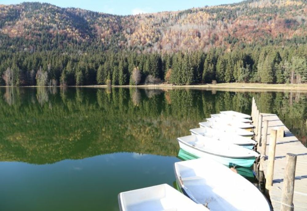 Activități pentru îmbunătățirea calității apei Lacului Sfânta Ana