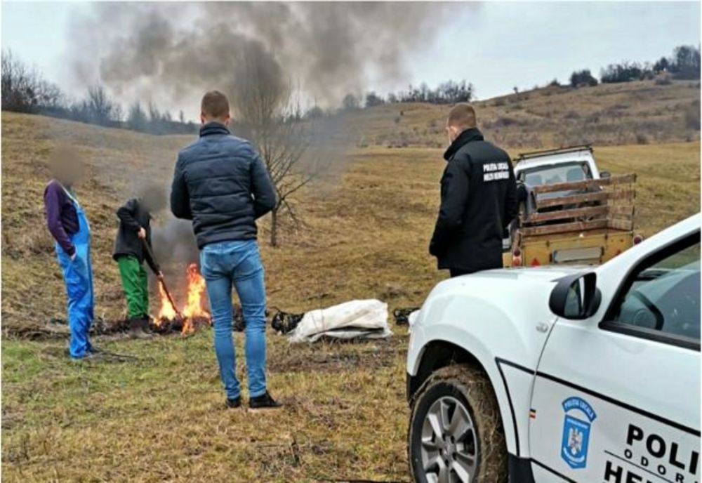 Amendați pentru că ardeau deșeuri electronice