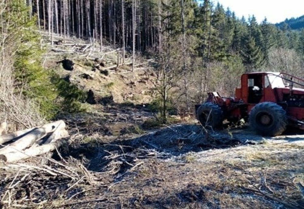 Operatori economici amendați cu 4.000 de lei de Garda de Mediu Harghita