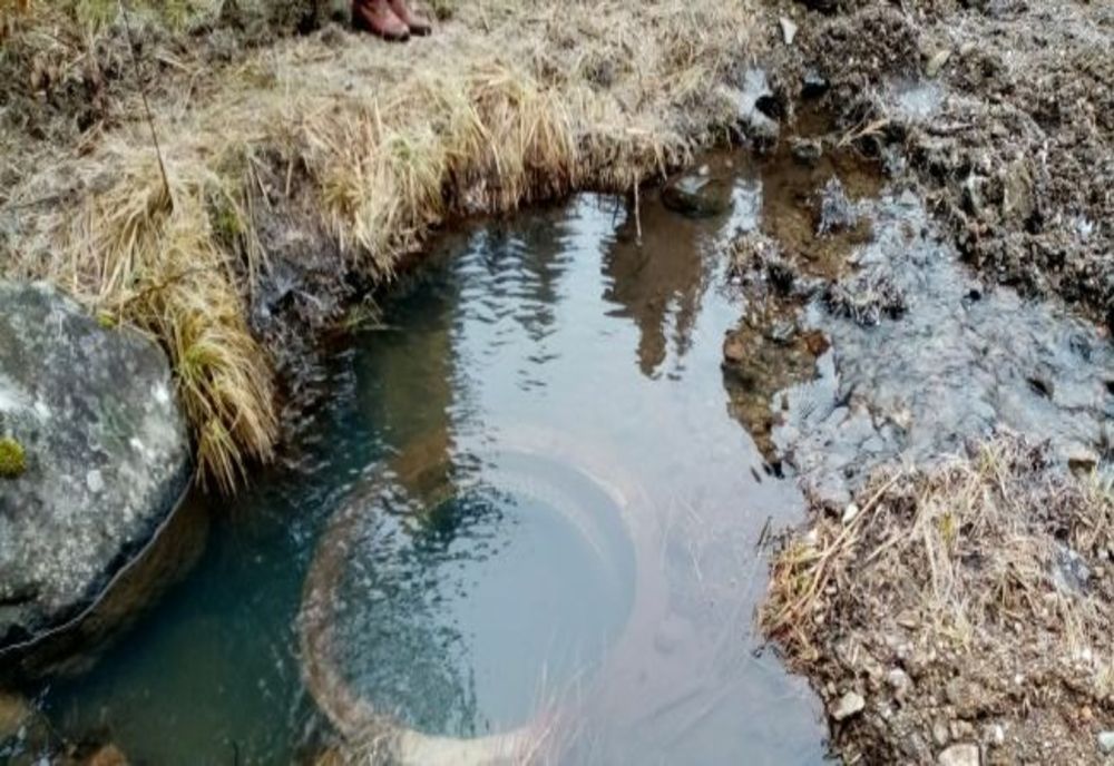 Amendă de 7.500 de lei dată de Garda de Mediu Harghita!