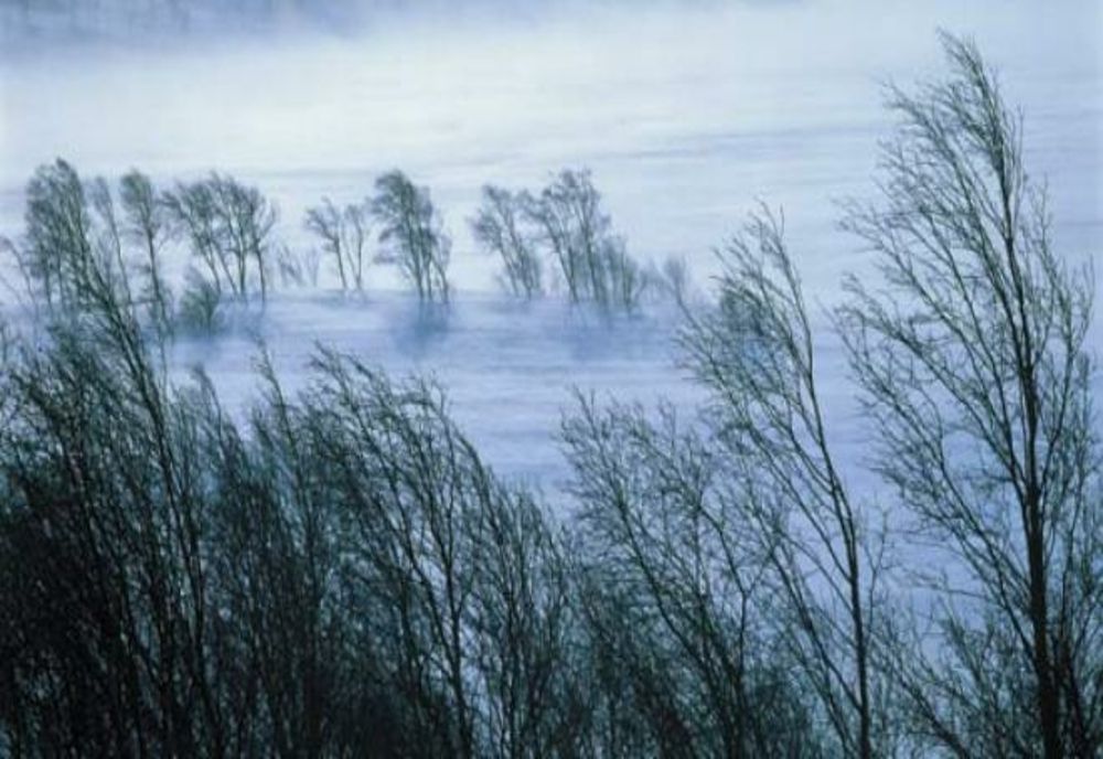 Atenție! Informare de vânt puternic