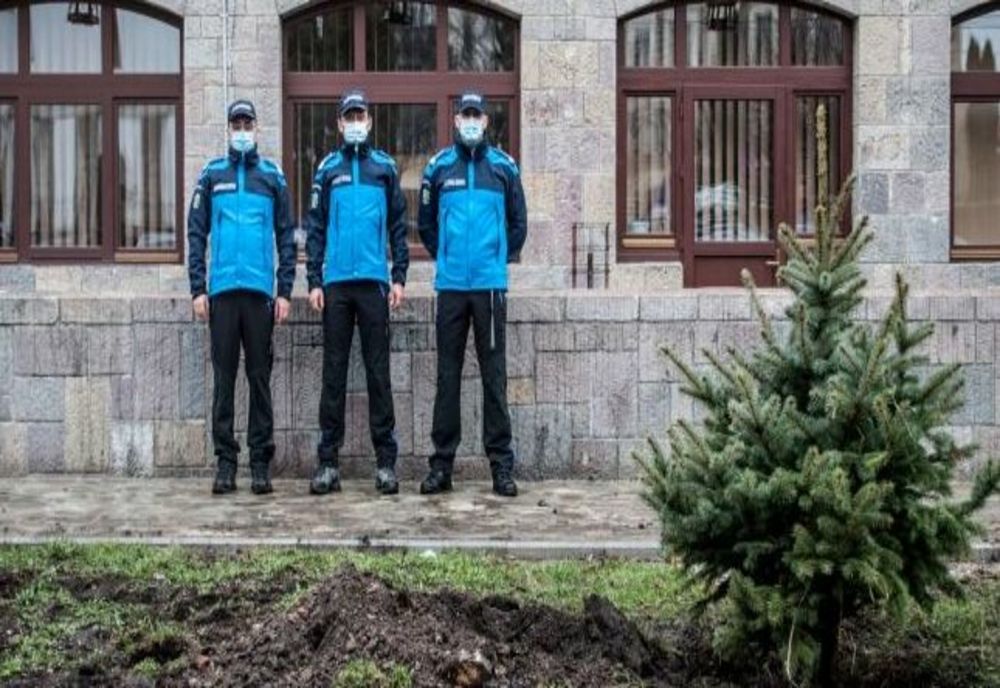 Brazi plantați de jandarmii din Harghita chiar în curtea Inspectoratului