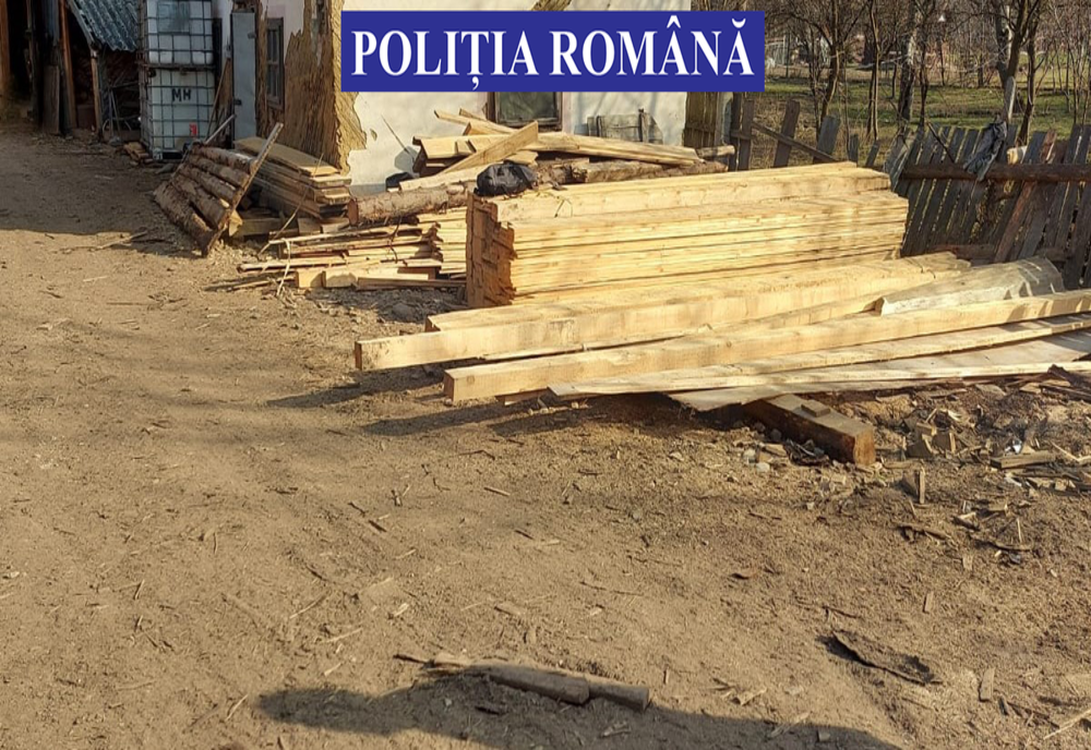 Confiscări de peste 100.000 de lei de material lemnos