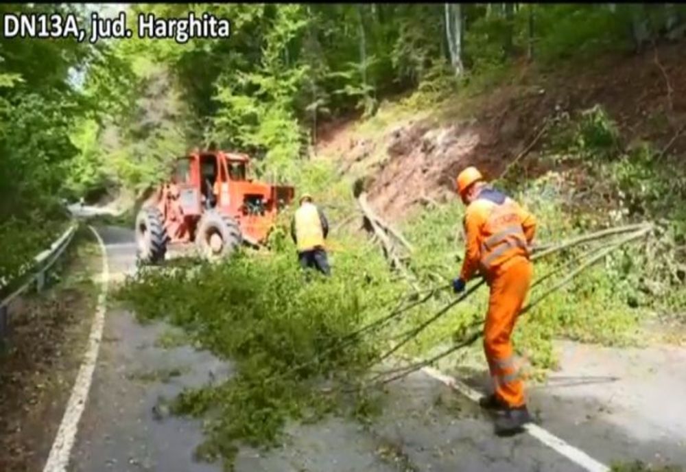 VIDEO Arbori îndepărtați de pe DN13A 