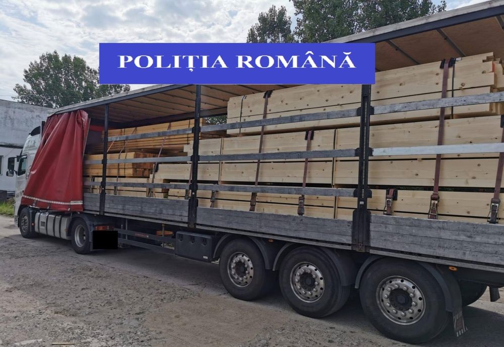 Circa 30 mc de cherestea fără documente legale, confiscați de polițiștii bihoreni de la o firmă din Harghita! SRL-ul a primit și o amendă piperată