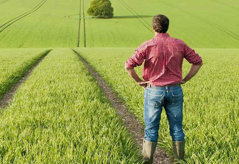 Peste 25.000 de fermieri din Harghita au depus cerere pentru subvenție la APIA