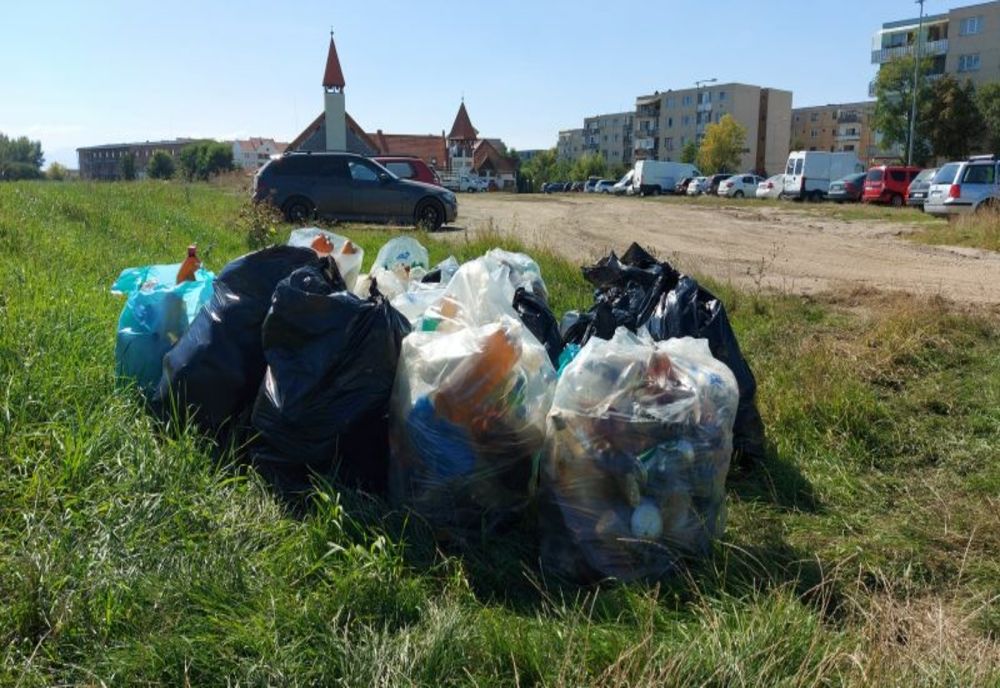 Tone de deșeuri colectate de pe râul Olt, în județele Harghita și Covasna