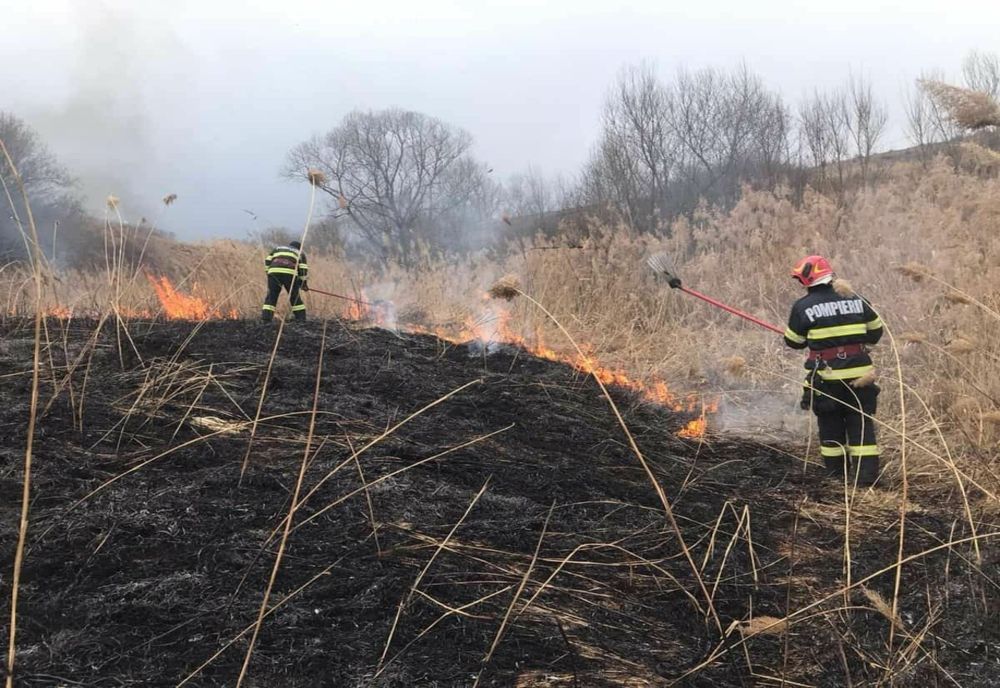 7 incendii de vegetație în ultimele 24 de ore