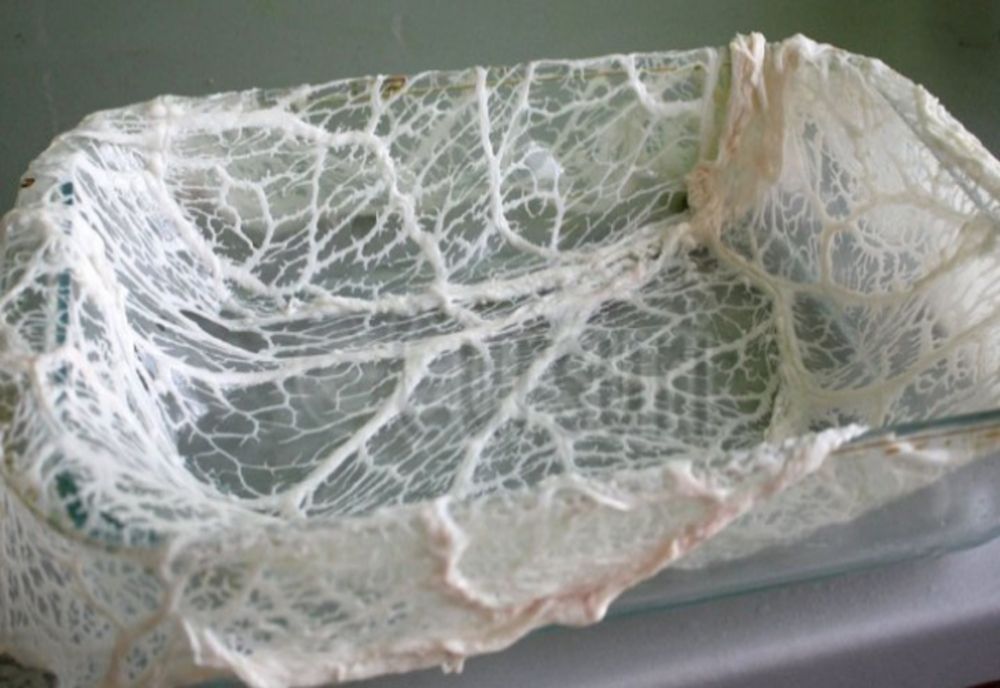 Ce este, de fapt, prapurul de miel. Motivul pentru care trebuie pus în drobul de Paşte. REŢETĂ DROB