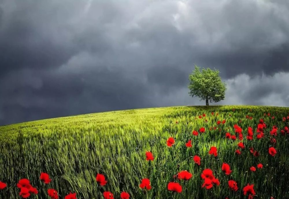 Vremea 8 iunie - În ce zone va fi în continuare instabilă vremea