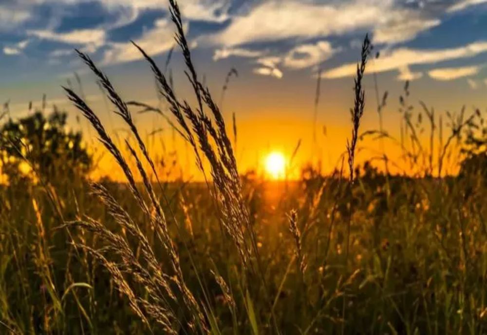 Vremea 29 iulie - Cod gablen de caniculă pentru o parte a țării - Vreme instabilă cu averse, vijelii și căderi de grindină