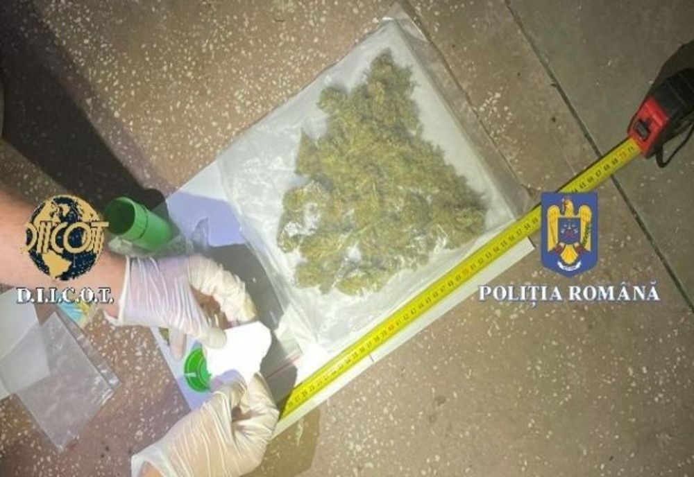 DIICOT a găsit cocaină, canabis și ciuperci halucinogene la un festival de muzică electronică din Harghita