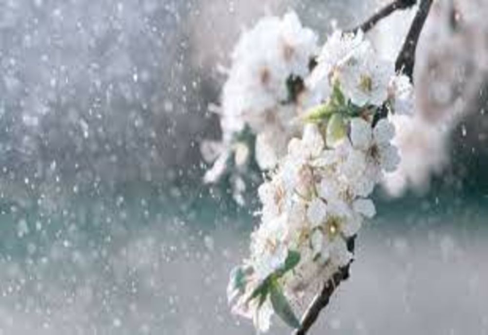 Prognoza meteo 1 mai. Temperaturi în creștere, dar și zone lovite de ploi - cum va fi vremea în ultima zi de minivacanță