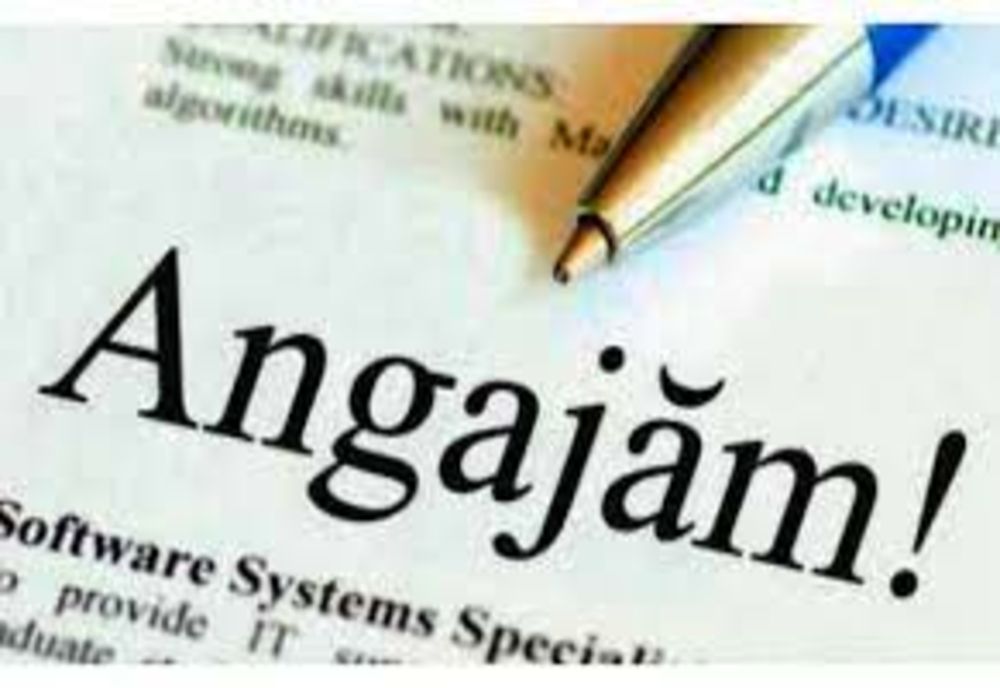 Duduie angajările la stat. În martie s-au scos la concurs posturi cât în ianuarie și februarie la un loc