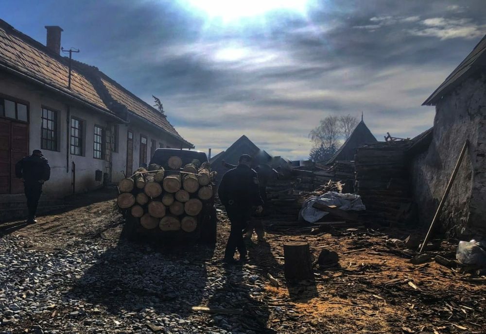 Jandarmii harghiteni au aplicat în primele 3 luni ale anului amenzi în valoare de 52.000 de lei la regimul silvic