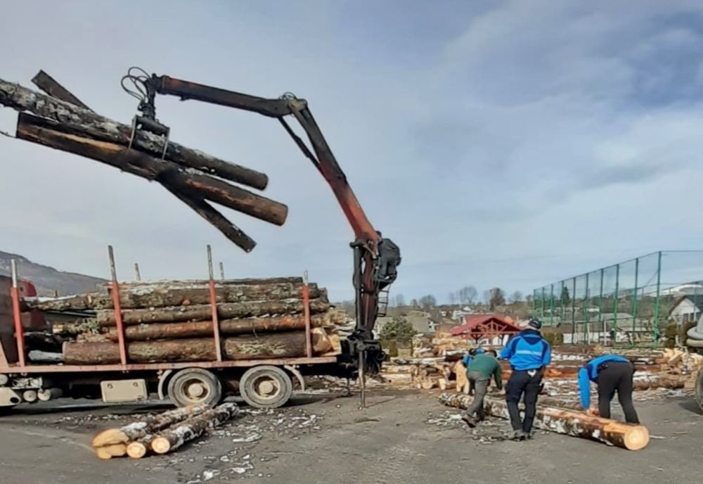 Peste 260 de metri cubi de lemn fără provenienţă legală, confiscaţi. Două firme au fost amendate