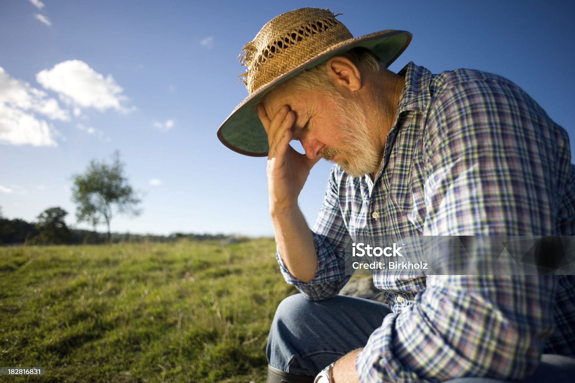 Photograph of a farmer thinking with his head in his hand.