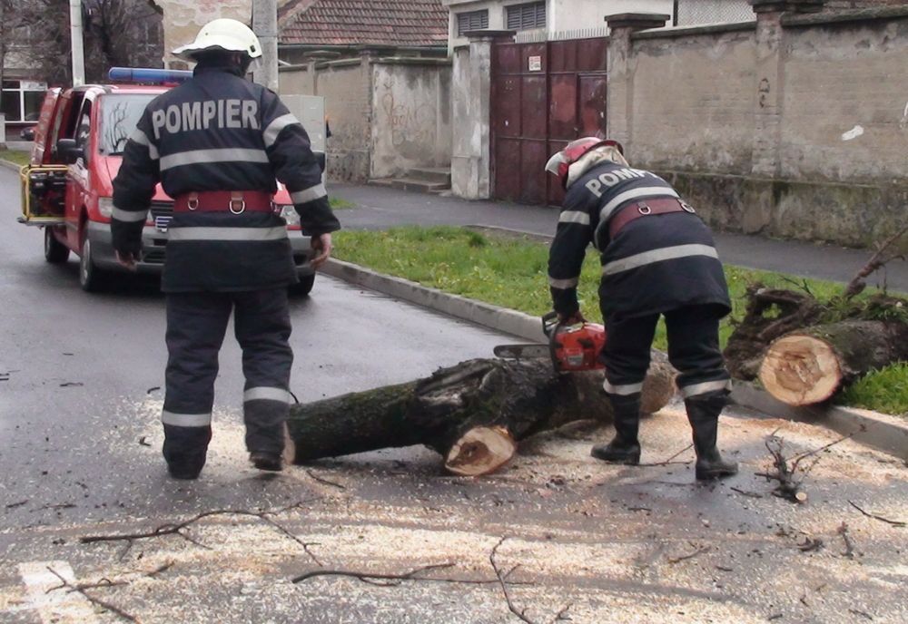 Vântul puternic a creat probleme în Brașov și Harghita
