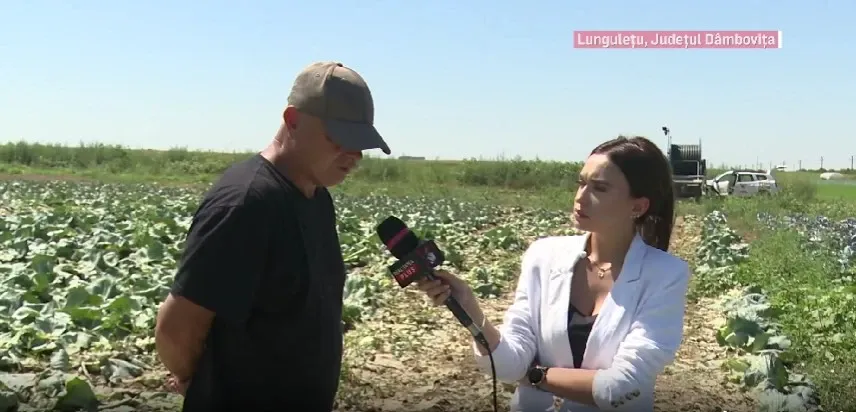 Alertă națională: mâncarea s-ar putea scumpi cu până la 10%