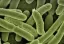 Apă contaminată cu E-Coli în Covasna