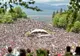 Vizita Papei Francisc la Şumuleu Ciuc văzută de Guvernul Maghiar ca o oportunitate de reconciliere istorică între România şi Ungaria