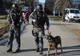 A fost arestat după ce a tâlhărit un bătrân de 94 de ani şi pe soţia sa de 85
