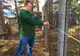Gard electric împotriva urşilor, la Spitalul din Miercurea Ciuc