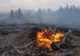 13 incendii de vegetaţie, în judeţul Harghita, doar în acest sfârşit de săptămână