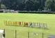 FK Miercurea Ciuc, victorie într-un meci amical