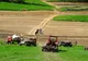 Prețurile terenurilor agricole în Harghita, între 4.000 și 7.000 de euro/ ha