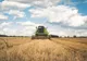 Ministerul Agriculturii din Ungaria finanţează consilierea fermierilor din Harghita, Covasna şi Mureş
